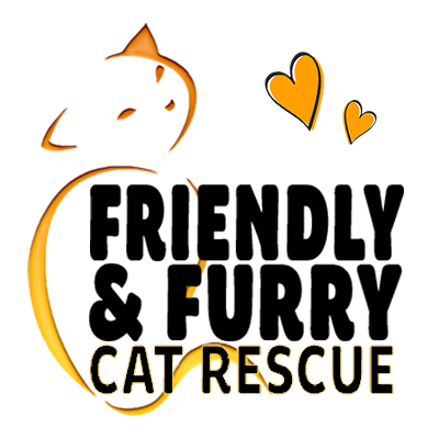 Friendly and Furry Cat Rescue